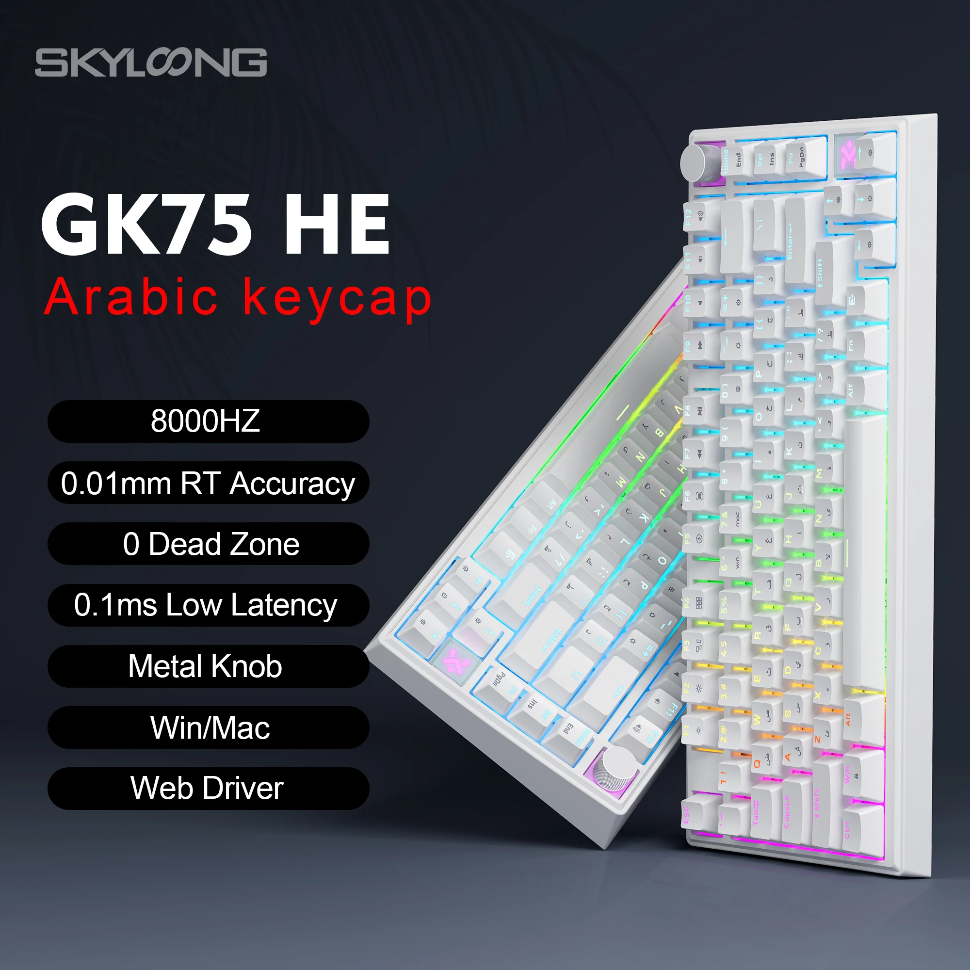 Skyloong GK75 HE 유선 마그네틱 키보드 8000Hz PBT