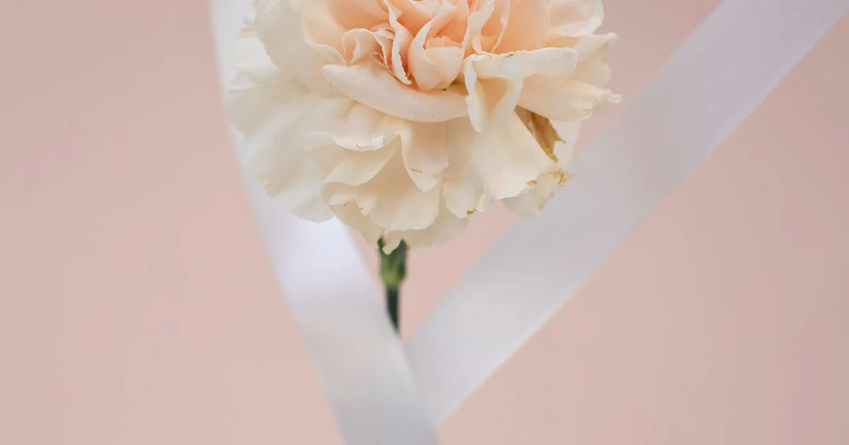 어버이날 선물 — 매년 “건강식품” 만 드렸던 자식의 반성문 (실전 추천 10가지)