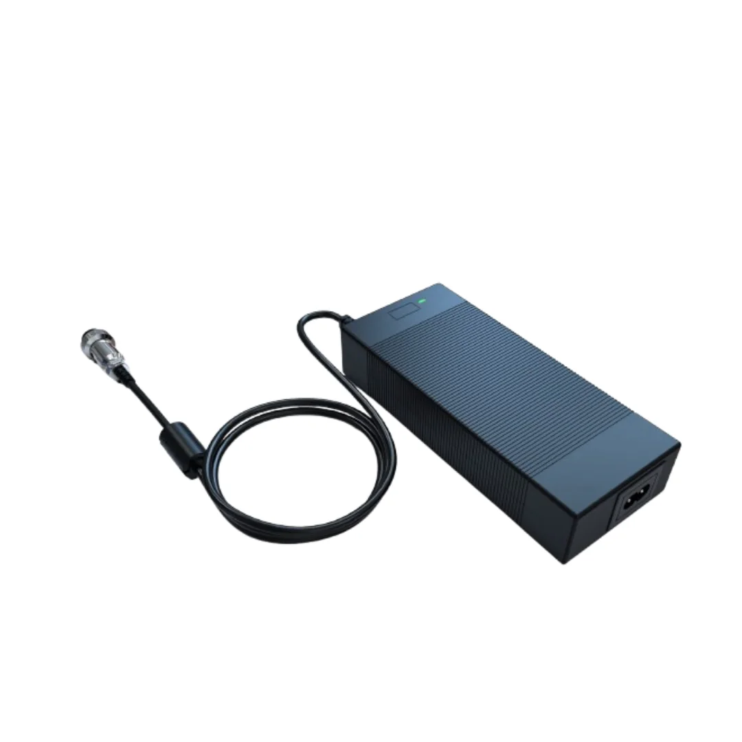 RAING 전기자전거·킥보드 충전기 36~60V
